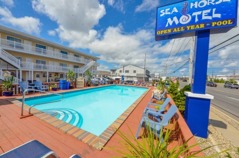 Read more about the article Dive into Confidence: Ensuring Safe Swimming Experiences at Seahorse Motel